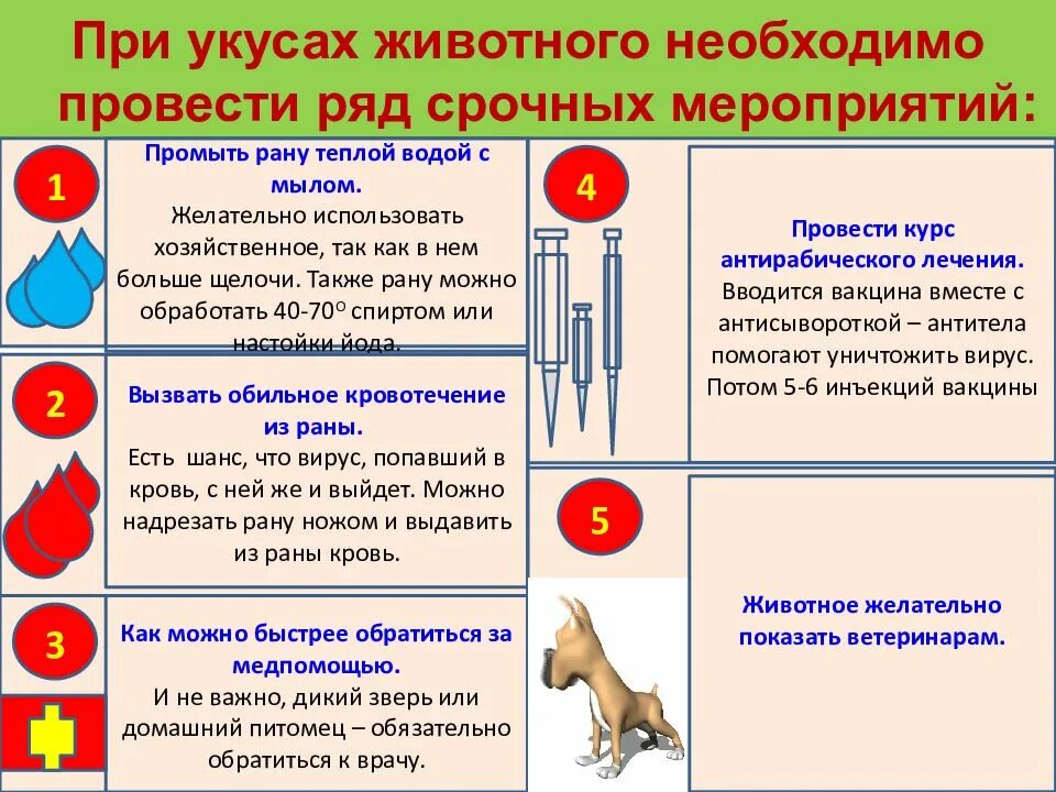 Алгоритм действий оказание помощи при отравлении. Алгоритм оказания 1 помощи при пищевом отравлении. алгоритм первой помощи при отравлении. оказание первой доврачебной помощи при отравлении. оказание первой помощи при отравлении ядами.