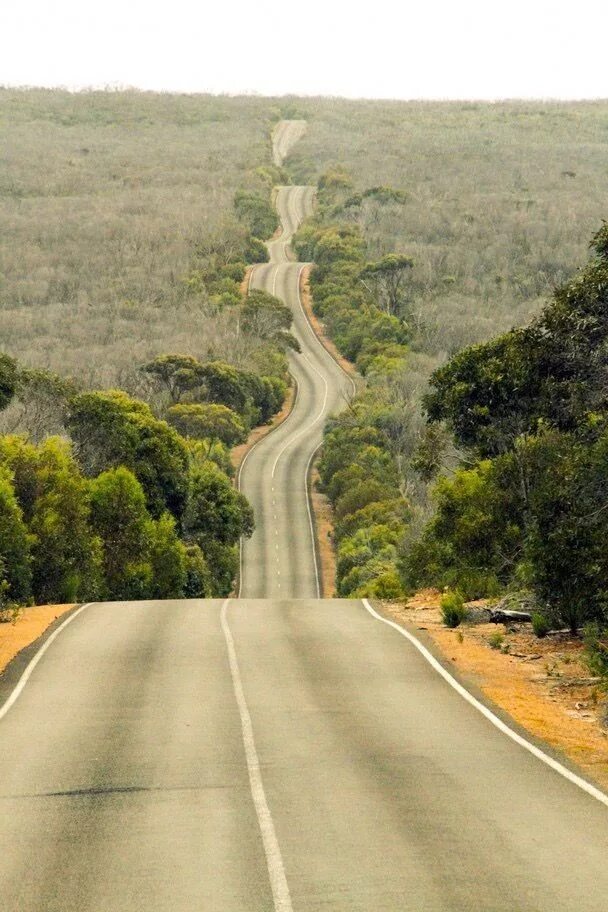 Australian roads. Аутбэк австралия. Красивые дороги австралии\. Дороги австралии фото. Шоссе эйр австралия.