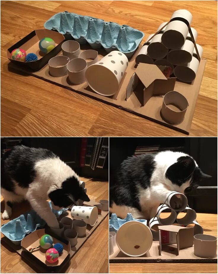 It’s a self-petting station for your cats that was made with toilet bowl brushes