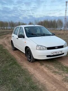 Калина 12 года
