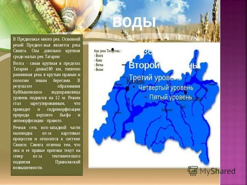 Волга и Свияга на карте. Река Свияга на карте. Где Свияга впадает в Волгу на карте. Исток Свияги. Реки рф относятся к бассейнам