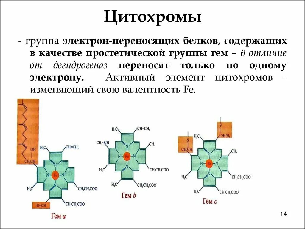 Белковый элемент. Строение функции цитохрома. Цитохромы биохимия строение. Цитохром строение. Цитохромы белковый компонент.