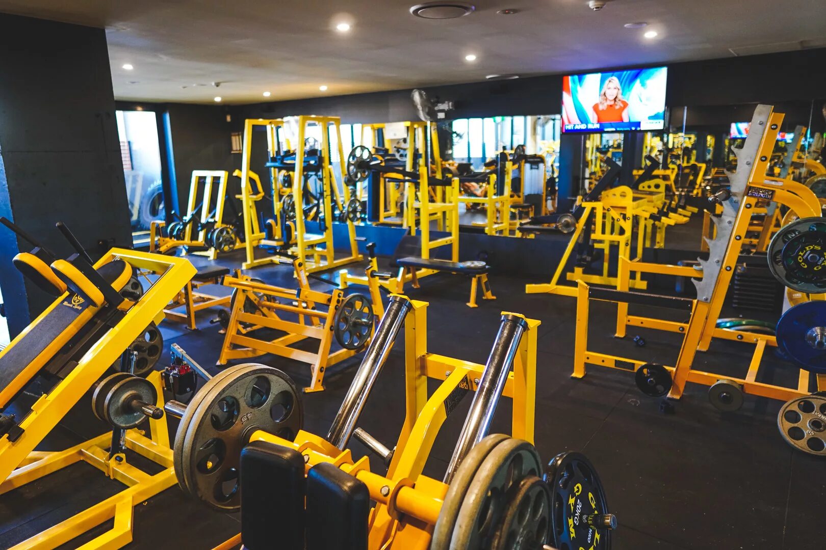 Golds gym отзывы. Gold gym лос анджелес. Голдс джим gold's gym. Тренажерный зал голд джим калифорния. Golds gym отзывы.
