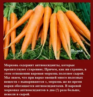 Где используют морковь