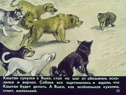 Чем кормили яшку из рассказа про обезьянку