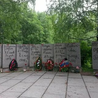 Дневник курган