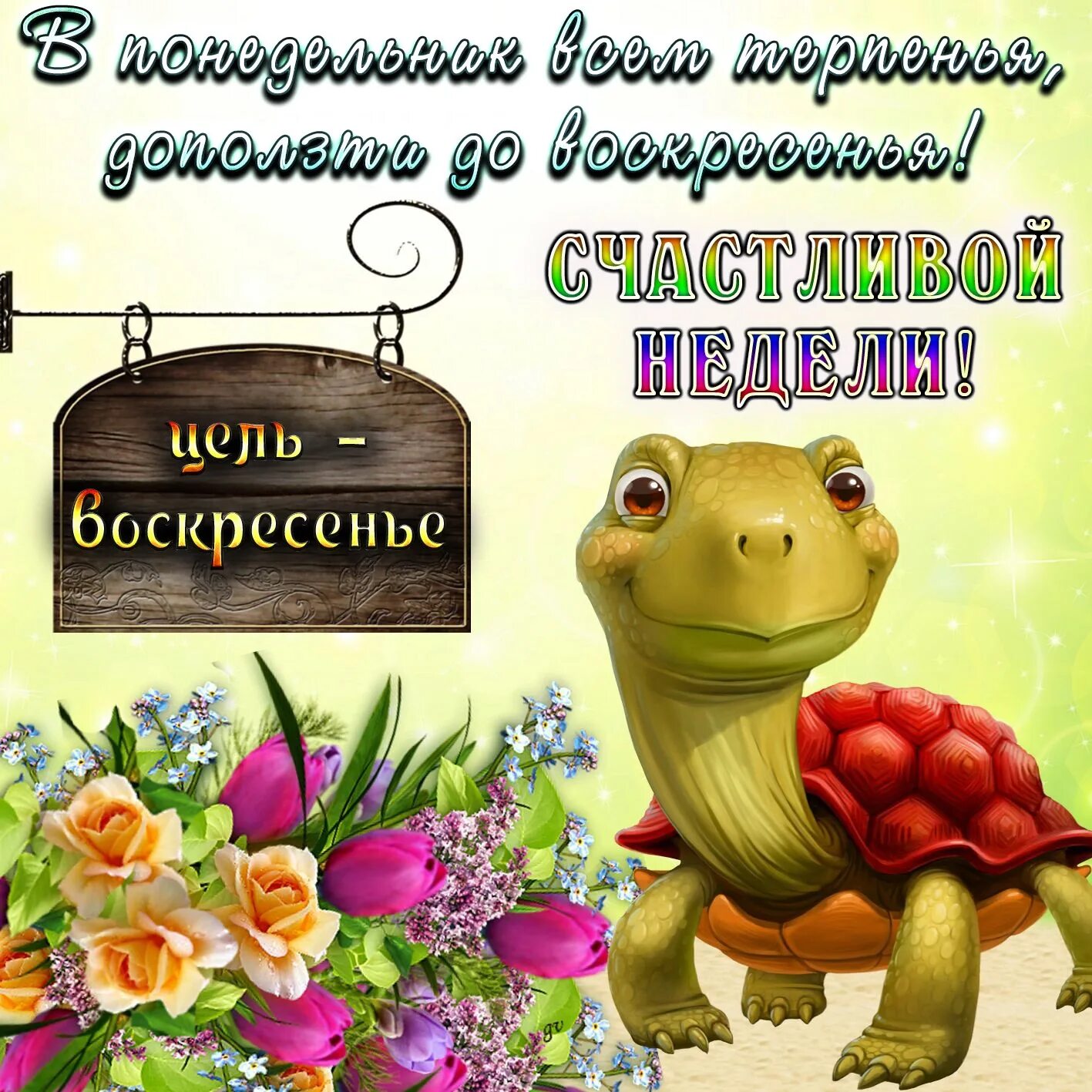 Удачного дня и недели