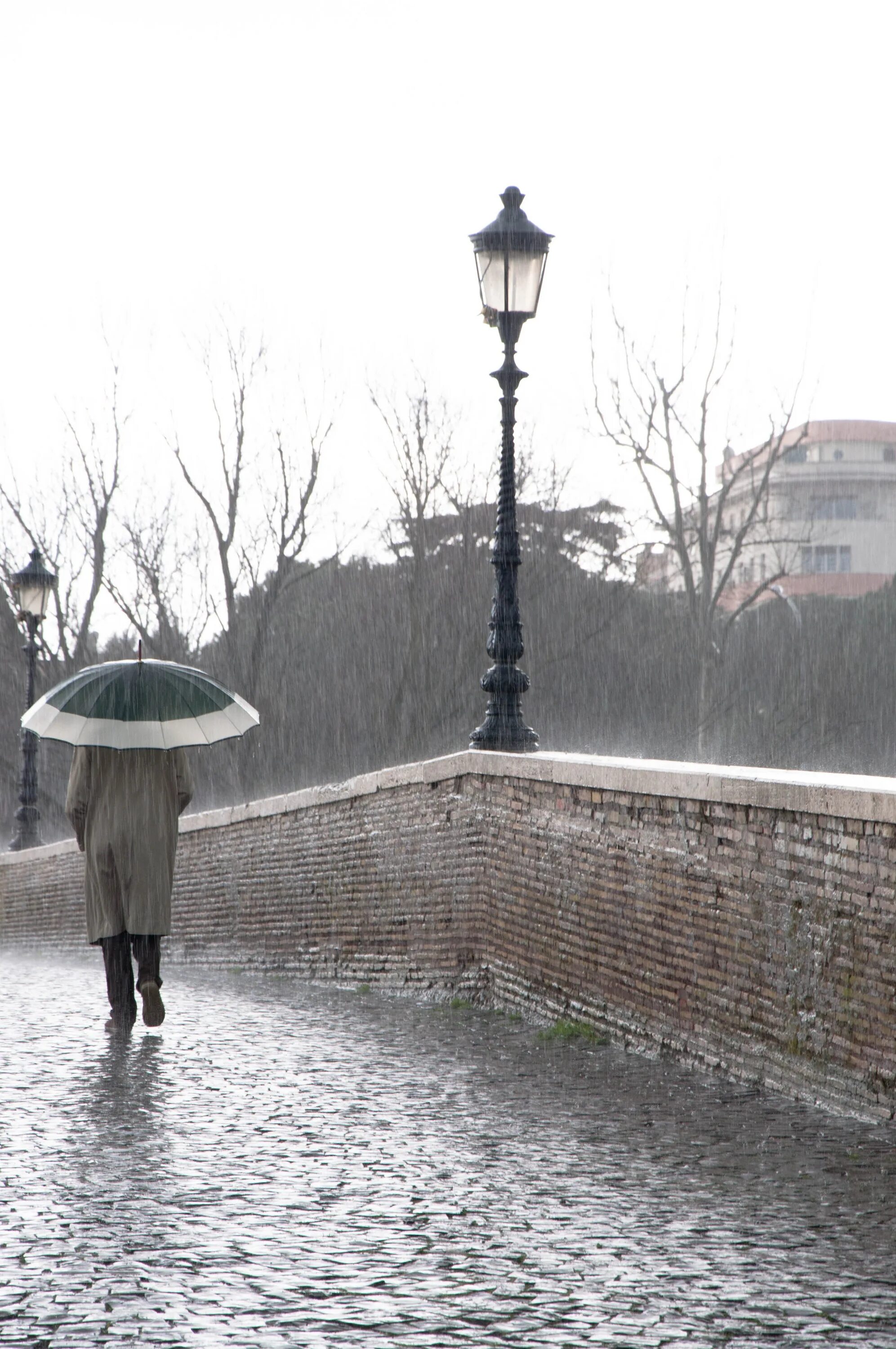 They like rain. Дождливый день. Дождь одиночество. Ненастный день. Серый дождливый день.