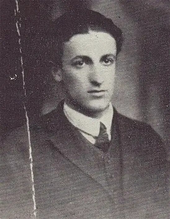 Раду википедия. Раду википедия