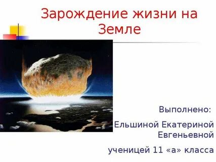 Жизнь зародилась сама