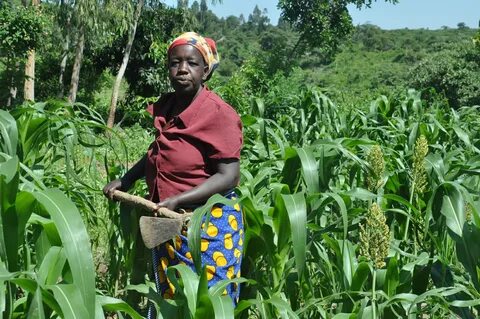 Most of africa s rural