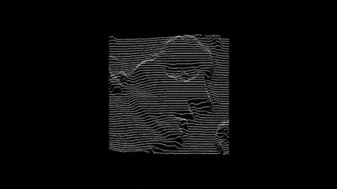 Joy division shadowplay