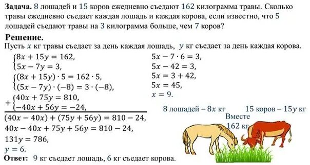 Решить задачу с помощью системы уравнений. Задачи на системы уравнений 7 класс. Задачи которые решаются с помощью системы уравнений. Решение задач с помощью систем уравнения задания. 30 кг 162 г в кг