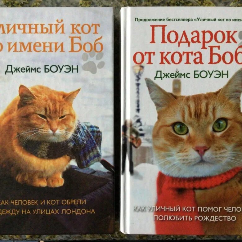 Книга про боба. Кот по имени Боб книга. Уличный кот по имени Боб книга. Рыжий кот по имени Боб книга.