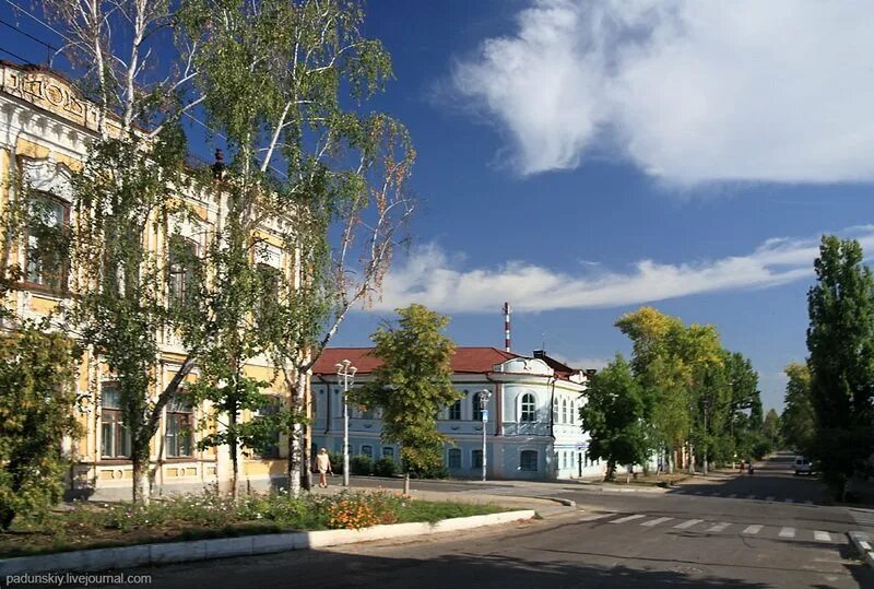 Павловск Воронежская область. Павловск город в Воронежской. Павловск Воронежская область парк. Петровский парк Павловск Воронежская область. Павловск воронежская область в контакте