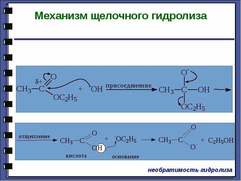 При щелочном гидролизе образуется