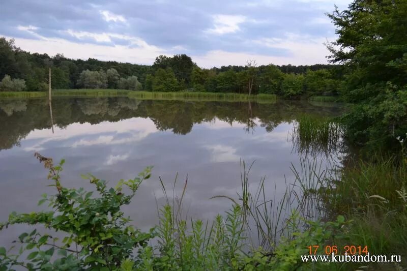 Станица тверская апшеронский район. Апшеронск тверская. Погода станица тверская. Краснодарский край, апшеронский р-н, станица тверская. Краснодарский край, апшеронский р-н, станица тверская.