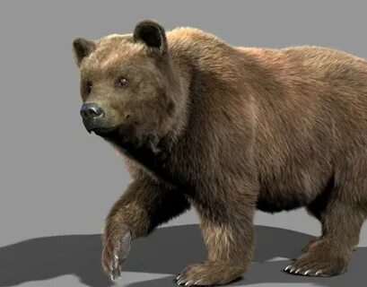 Bear на русский язык