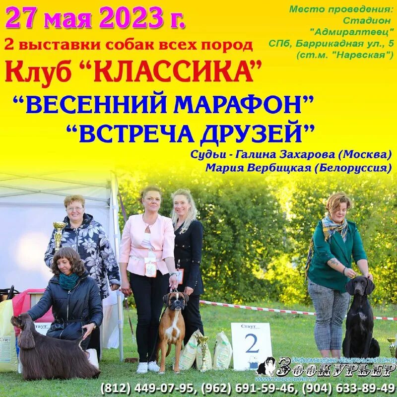 зоокурьер выставки собак в спб 2024