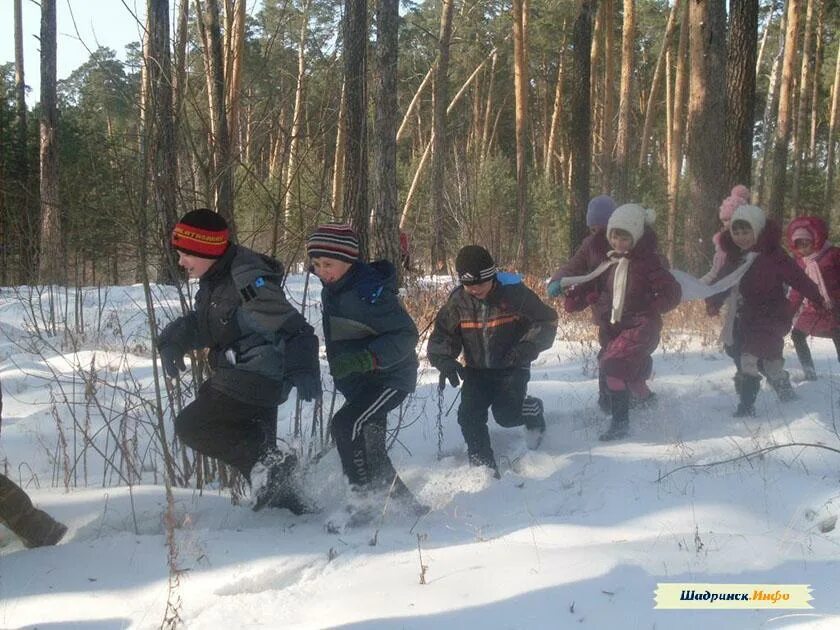 Зимняя Зарница. Зарница в детском саду зимой. Зарница дети зимняя фотосессия. Зимняя Зарница в ДОУ. Сценарий зарницы зимой