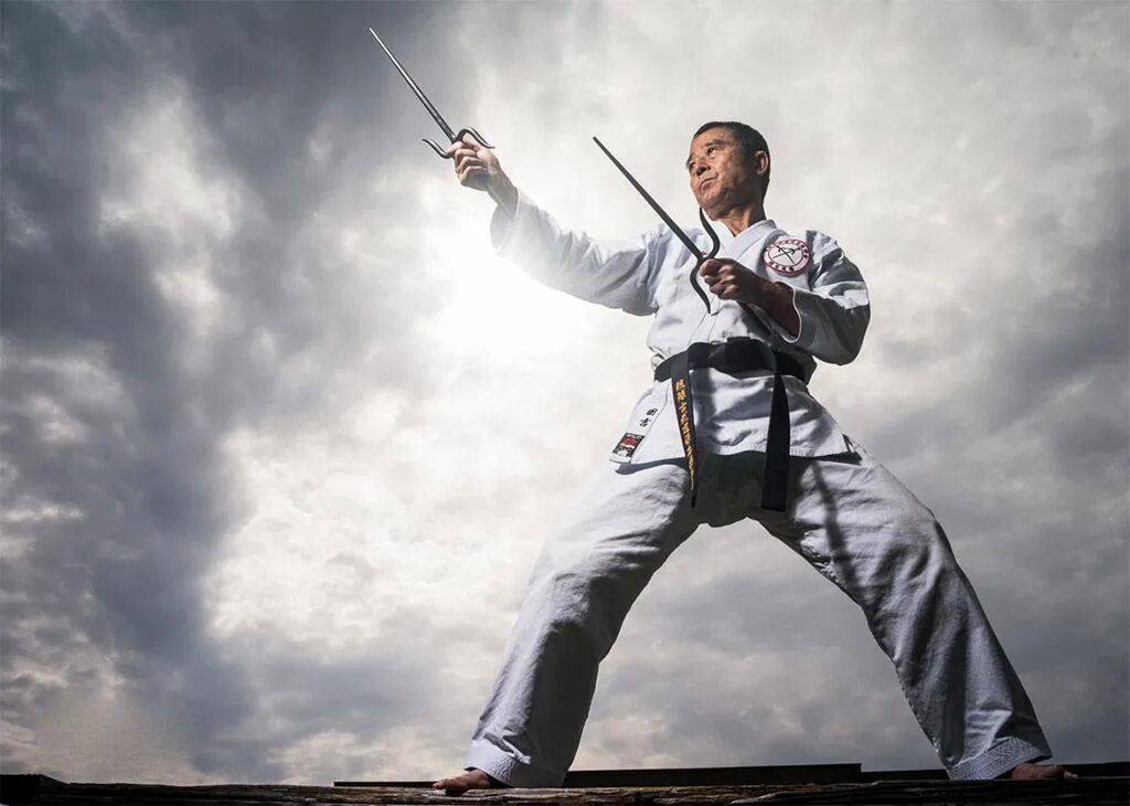 Боевые искусства будущего 70. Хапкидо корея. Кейн сериал кунг фу. Мексиканское боевое искусство. Боевые искусства будущего 70.