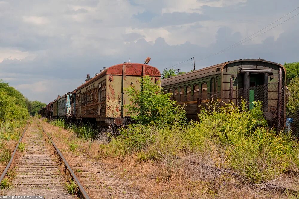забыты поезда. заброшенная станция поездов. забыты поезда. 2тэ10м поезд призрак. старые ржавые поезда.