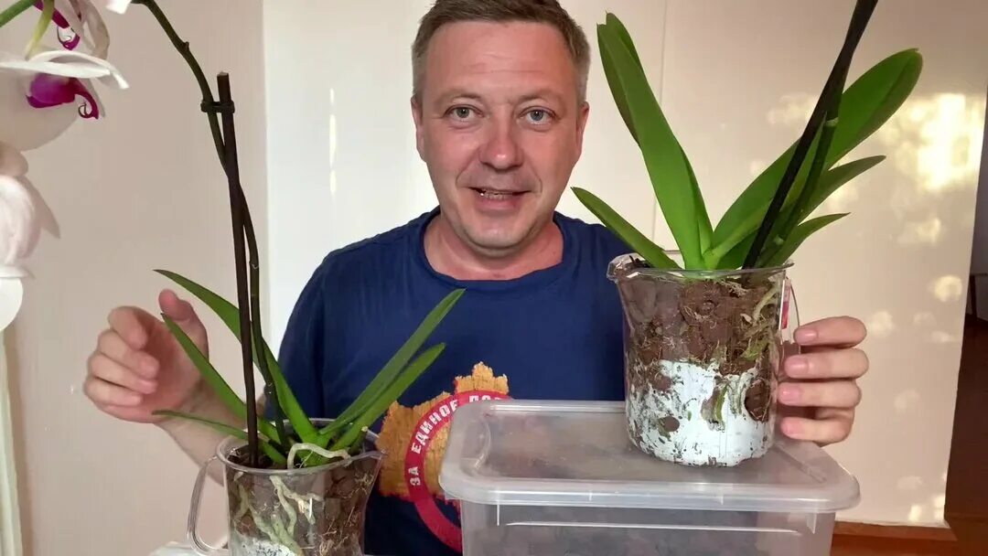 Как поливать орхидею весной