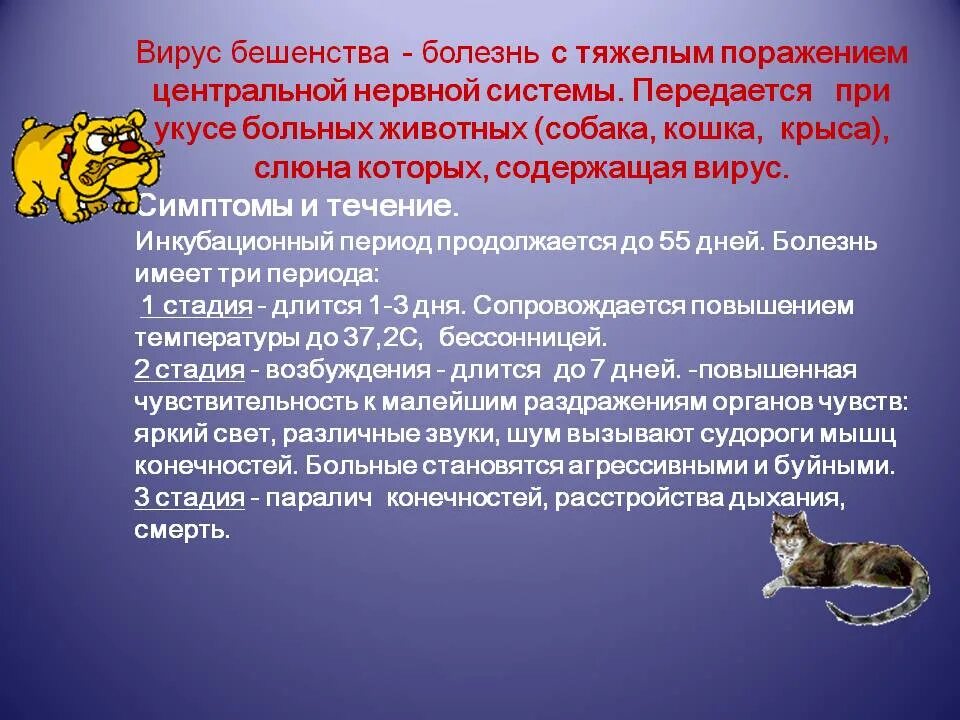 Человек заболел бешенством. Вирусное заболевание бешенство. Вирусные болезни животных бешенство. Вирус бешенства у животных. Вирус бешенства симптомы у животных.