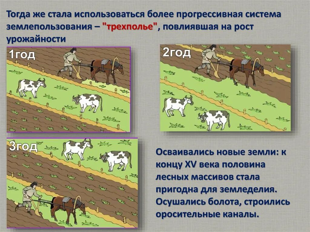 Какие преимущества имеет трехпольная система обработки земли. Трехпольная система земледелия схема. Трехпольная система земледелия на Руси. Система земледелия двуполье и Трехполье. Система трехполья.