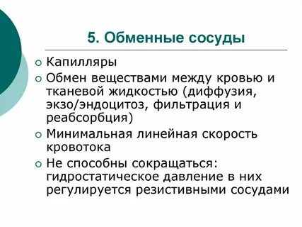Сосуды обмена