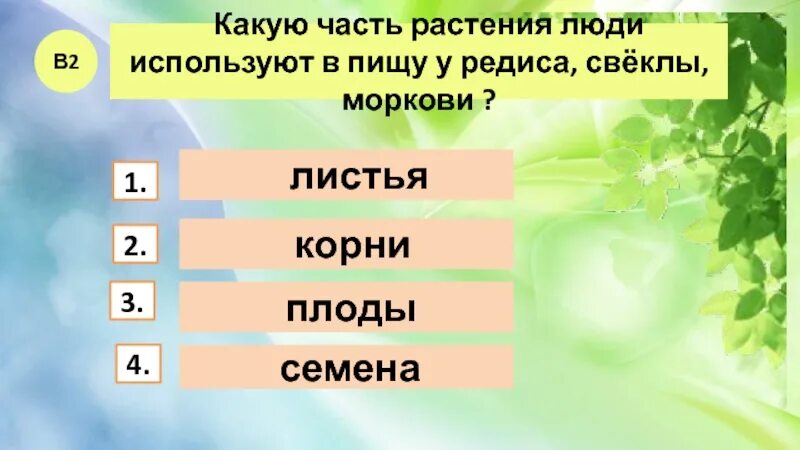 Какую часть растения человек употребляет в пищу у моркови. Какие растения человек употребляет в пишу. Какие растения человек употребляет в пищу. Какие части растений человек использует в пищу.