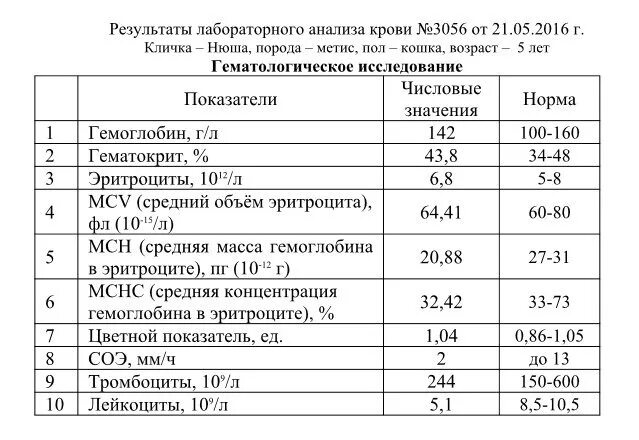 средний объем тромбоцитов норма у детей. объем тромбоцитов в крови. тромбоциты понижены у женщины. лекарство для повышения тромбоцитов в крови. пониженные тромбоциты в крови у женщин.