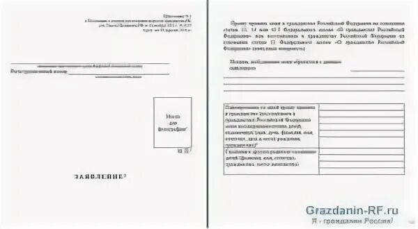 Заявление на гражданство РФ образец заполненный бланк. Заявление о получении гражданства РФ В упрощенном порядке образец. Анкета на получение гражданства РФ. Бланки на гражданство РФ нового образца.