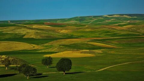 Raw land
