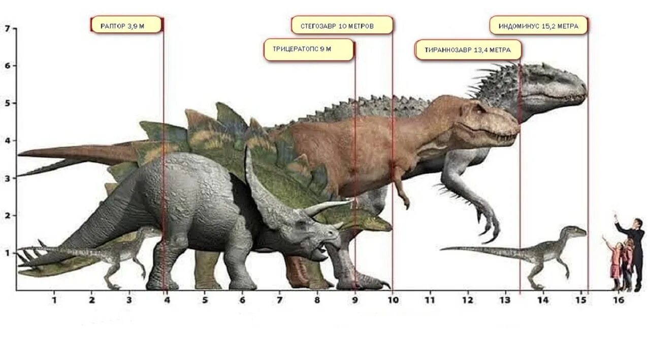 Сравнение динозавров. Индоминус рекс и Тиранозавр сравнение. Индоминус рекс длина и вес. Размер Индоминуса Рекса. Тираннозавр рекс рост.