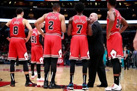 Фото bulls