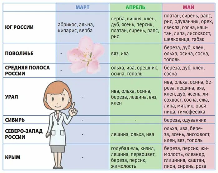 Симптомы аллергии на цветение весной у взрослых. Аллергия на цветение весной. аллергия на цветение липы. цветение май аллергия. цветение апрель май аллергия.