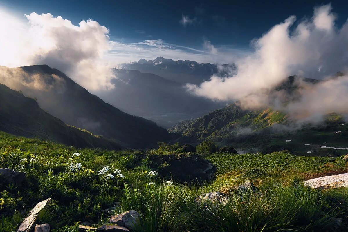 Поляна в горах. Красная Поляна Сочи горы Кавказ. Красная Поляна Сочи природа. Гора Ачишхо красная Поляна. Кубань красная Поляна.