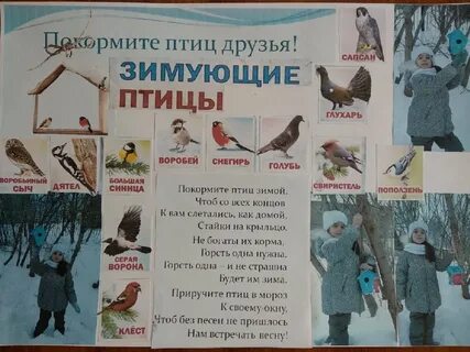 Как помочь птицам зимой стенгазета шаблоны 2