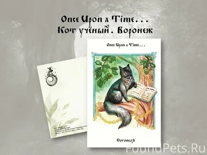 Алекс коте