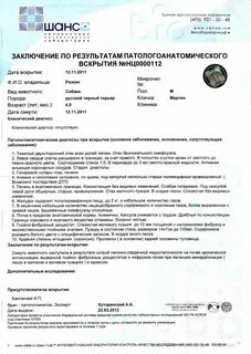 Получить протокол вскрытия