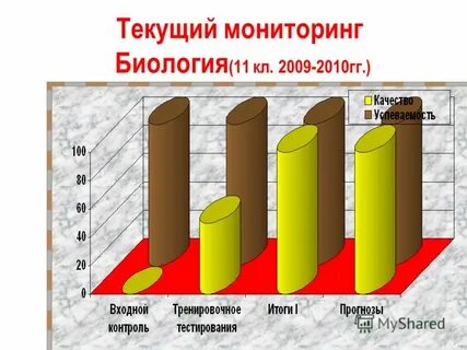 Мониторинг страны