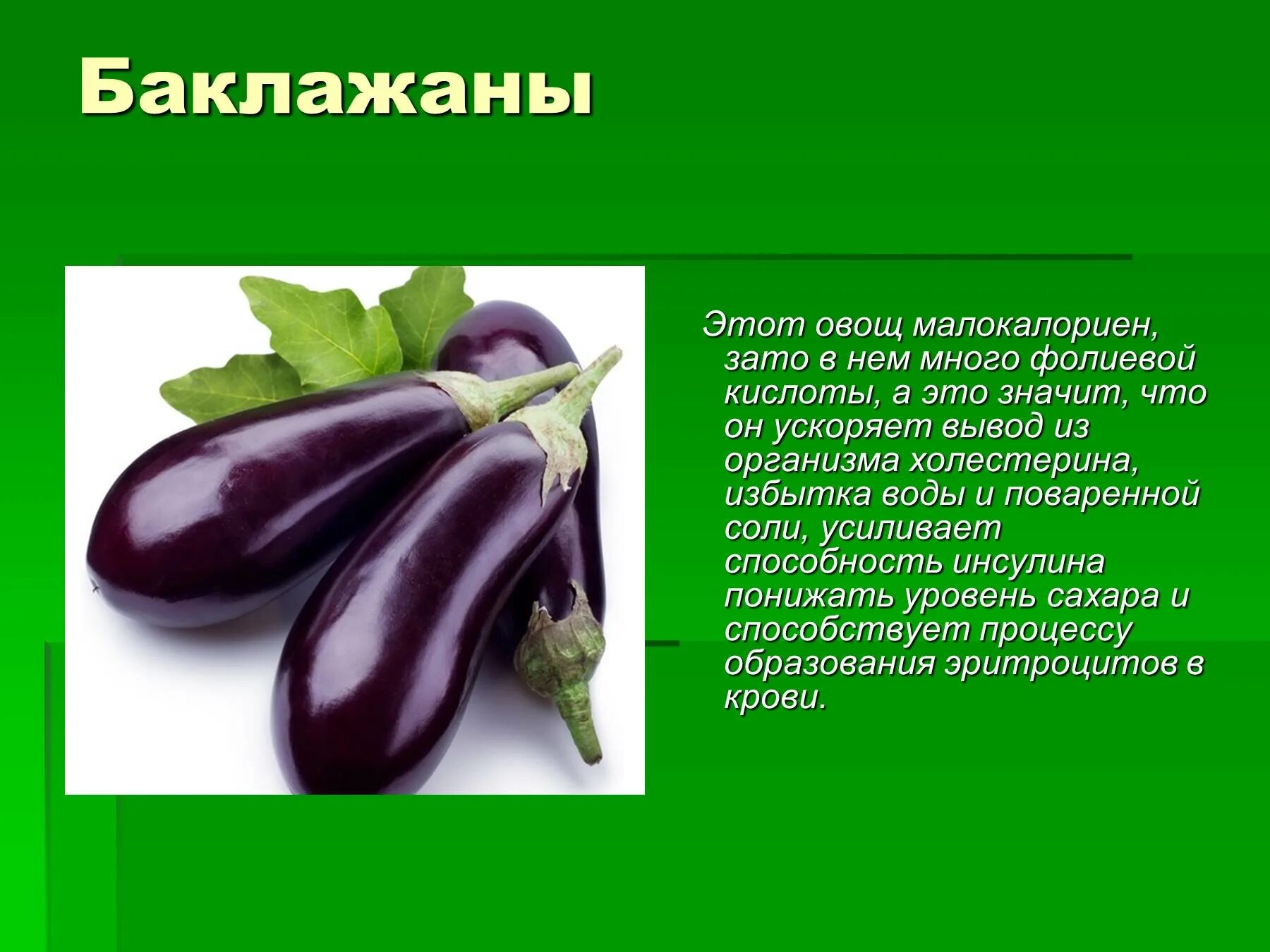 Баклажан это ягода или овощ. Баклажан это ягода. Баклажаны красивое фото. Баклажан это ягода или овощ или фрукт. Баклажан название плода.