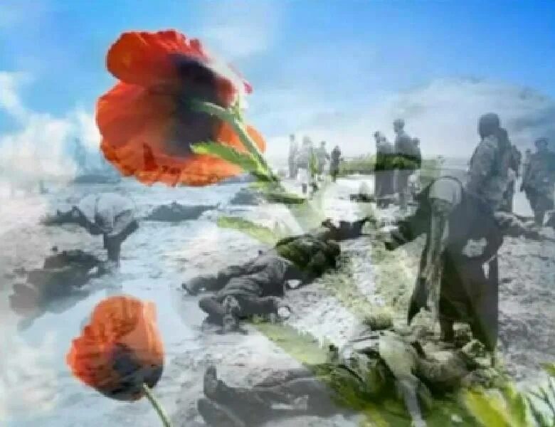 Федюнинские холмы в годы войны. Стихи о войне для детей. Маки маки красные маки горькая память. С днем победы маки. Память о великой отечественной войне.