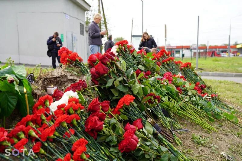 розы белогорья шебекино. московская 13 шебекино. шебекино белгородская область. цветы шебекино. улица ленина 84 шебекино кафе.