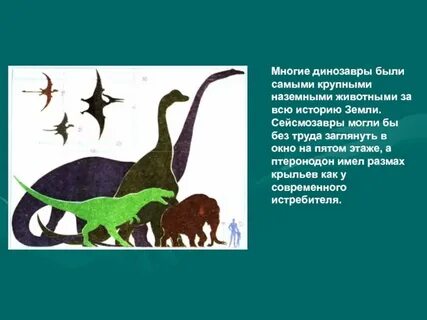 Главным обитателем