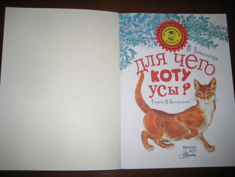 Как у котика усы удивительной красы. Танасийчук для чего коту усы. книги про кота усика. для чего коту усы аст. зачем котам усы книга.