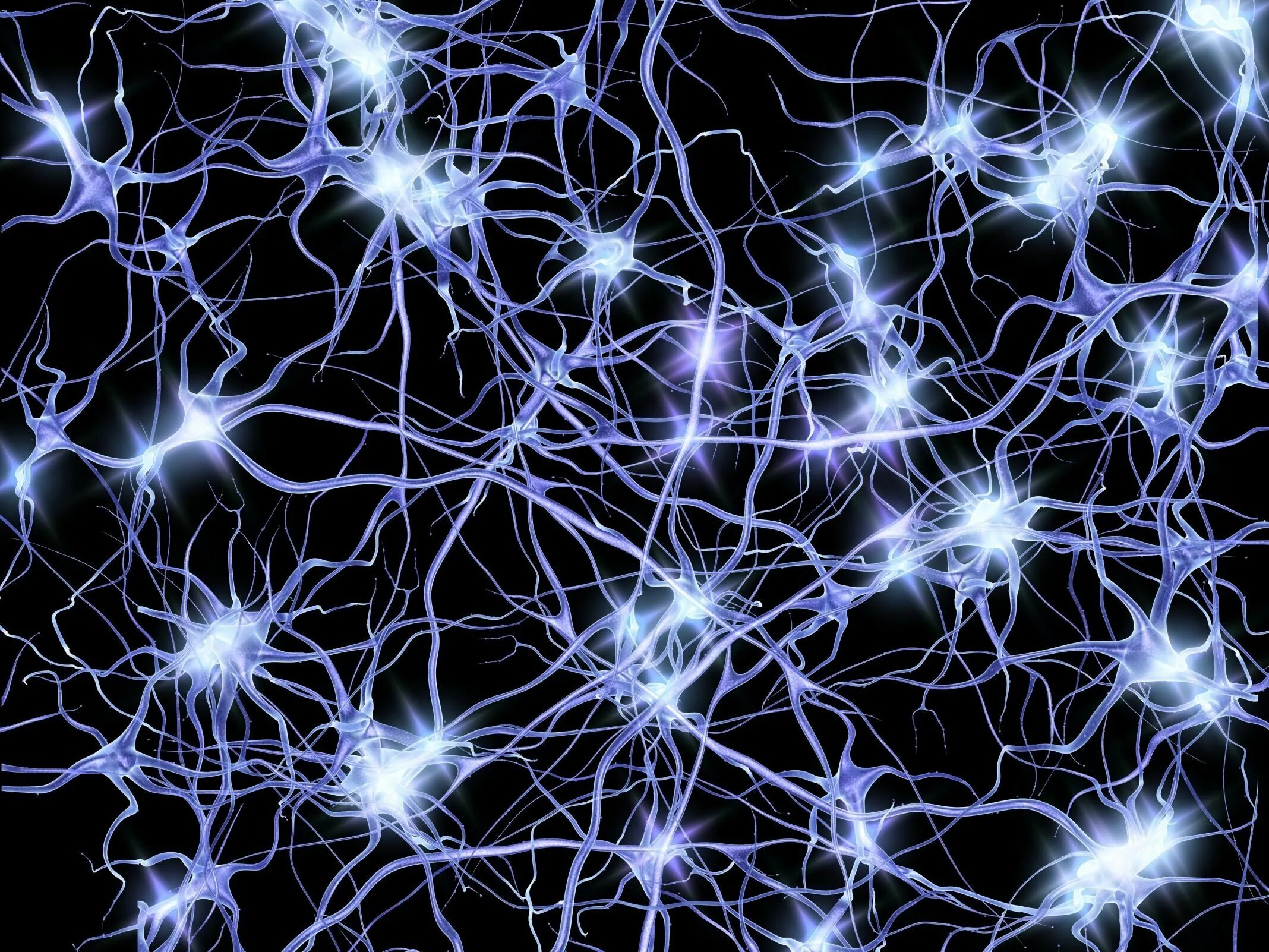 Нейронные боеприпасы. Нейрон в нейронной сети. Нейронная система мозга. Нейронная сеть головного мозга человека. Нейросеть Нейроны.