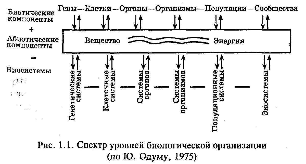 Признаки живого клеточного уровня