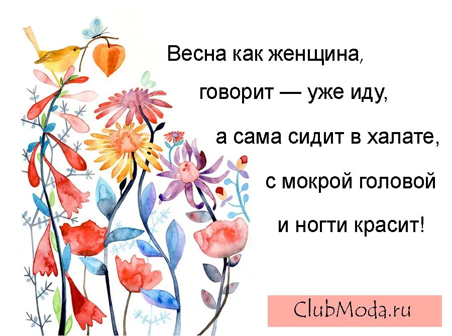 Хочется вместе как раньше к весне. Смешные высказывания про весну. смешные афоризмы про весну. женский юмор про весну. высказывания о весне.